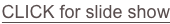 shapeimage_5_link_0
